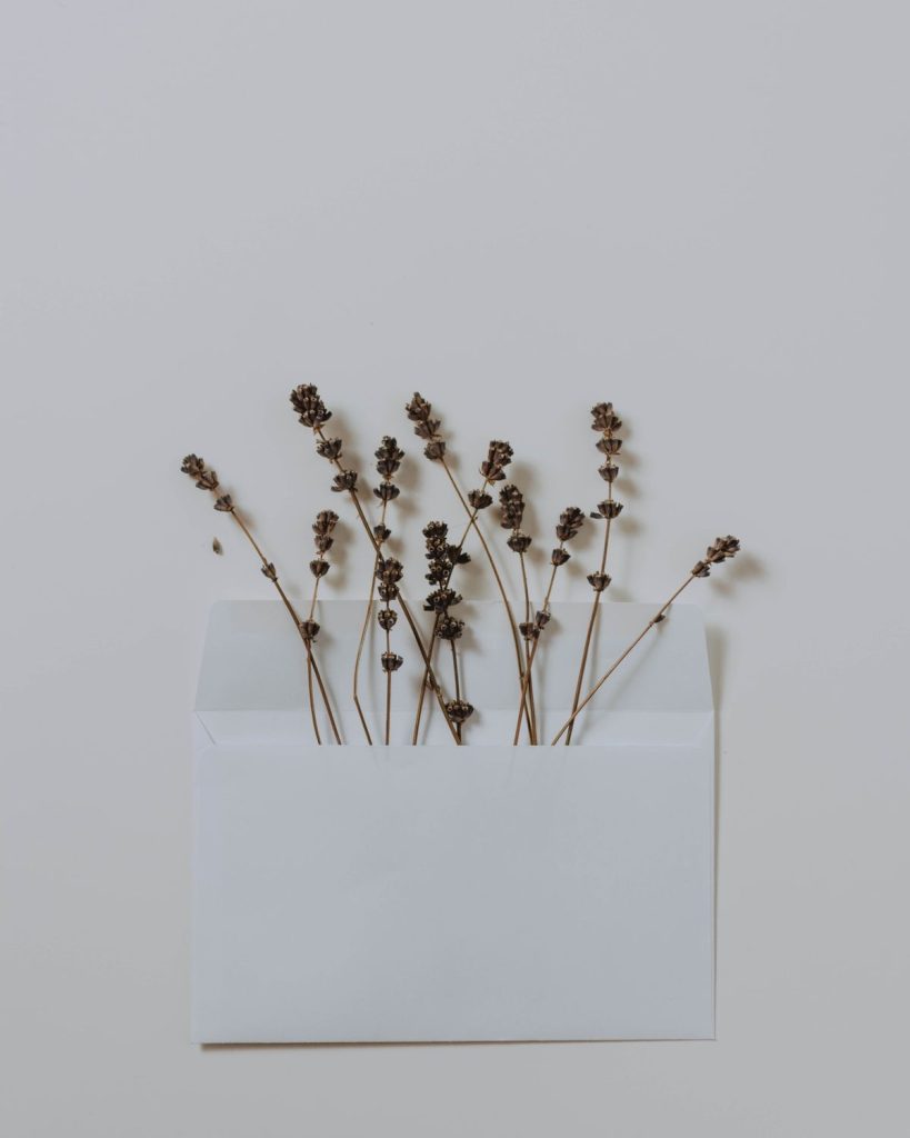 Botanical Paper